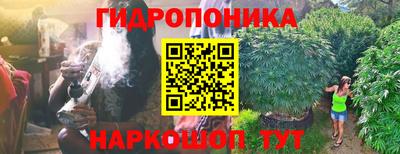 прущие крисы Бийск
