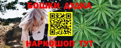 прущие крисы Бийск