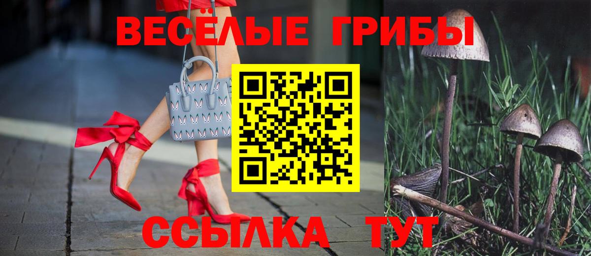 Псилоцибиновые грибы прущие грибы Богданович