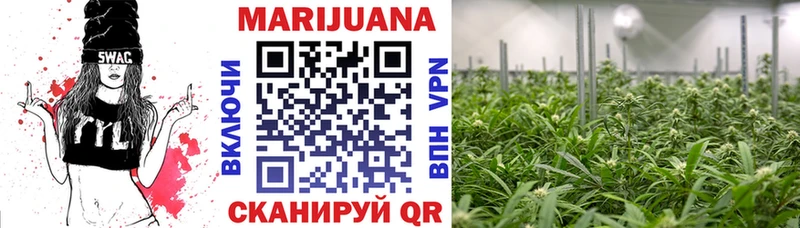 цены   Богданович  блэк спрут tor  Каннабис гибрид 